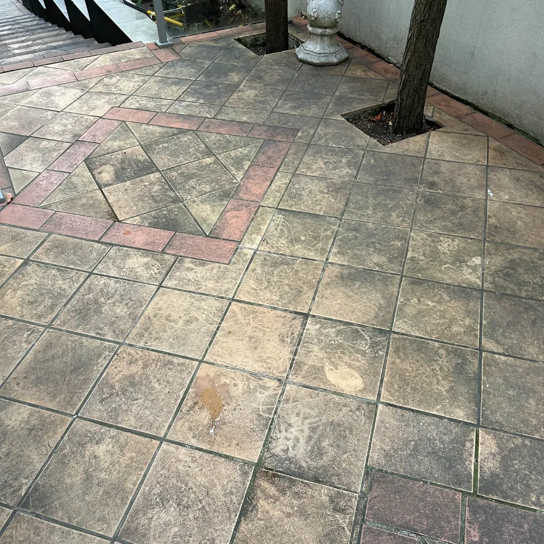 before floor clean